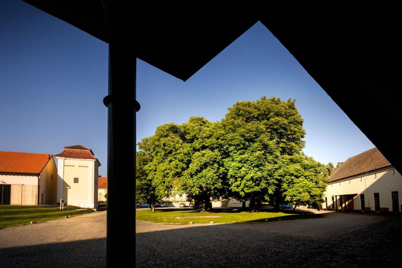 Penzion Pansky Dvur Telč المظهر الخارجي الصورة
